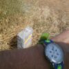 Reloj del Camino de Santiago